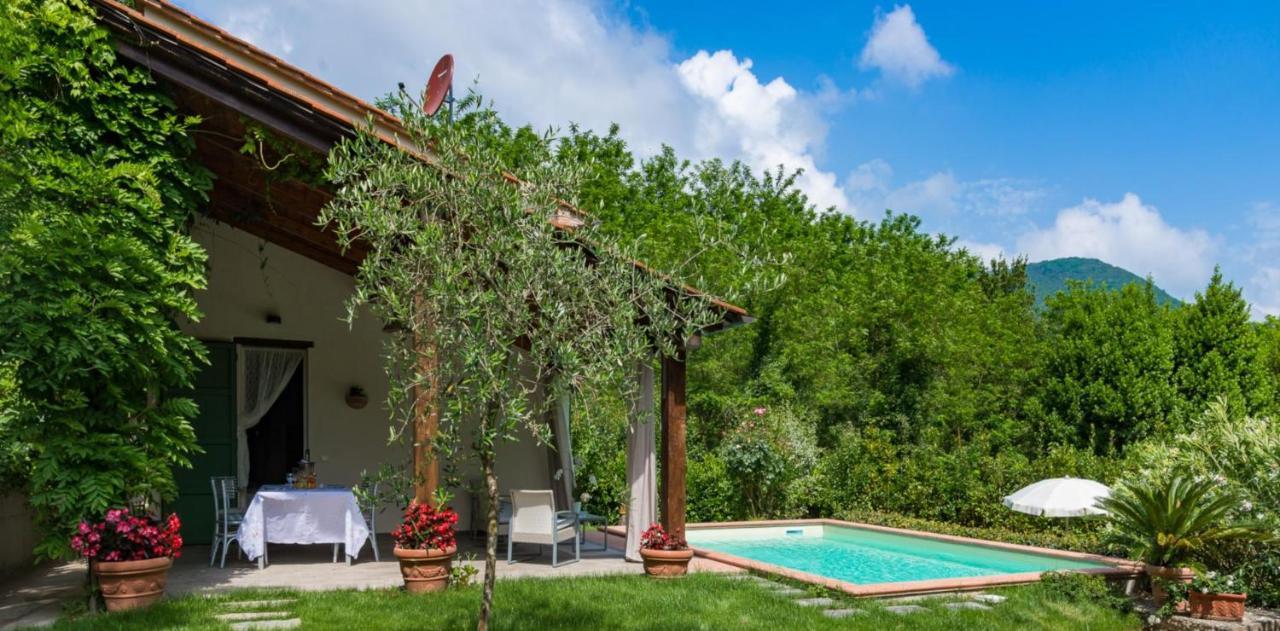 Villa Con Piscina Esclusiva Nel Verde Lucca Bagian luar foto