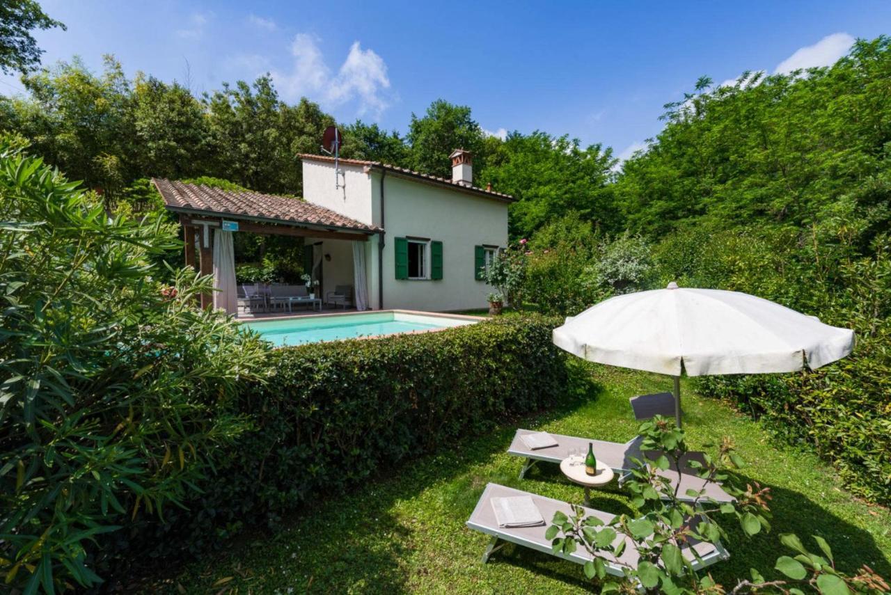 Villa Con Piscina Esclusiva Nel Verde Lucca Bagian luar foto